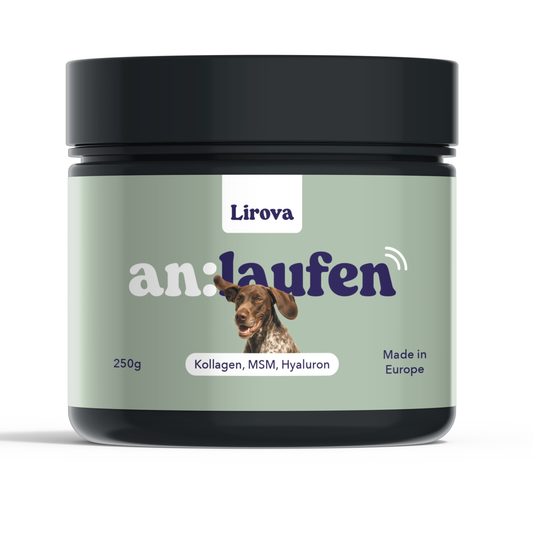 Lirova an:laufen