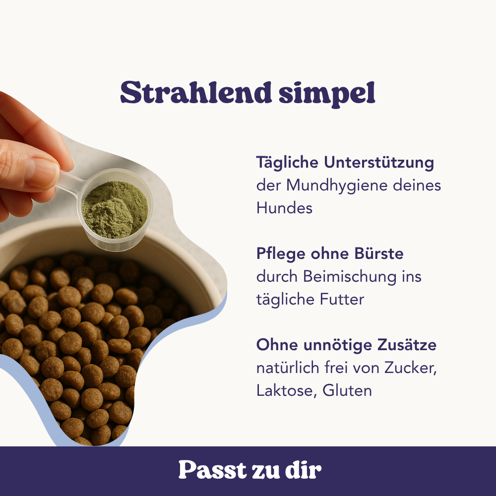 Unterstütze die tägliche Maulroutine deines Hundes mit einem einfach zu mischenden Pulver – ganz ohne Bürste und ohne unnötige Zusätze.