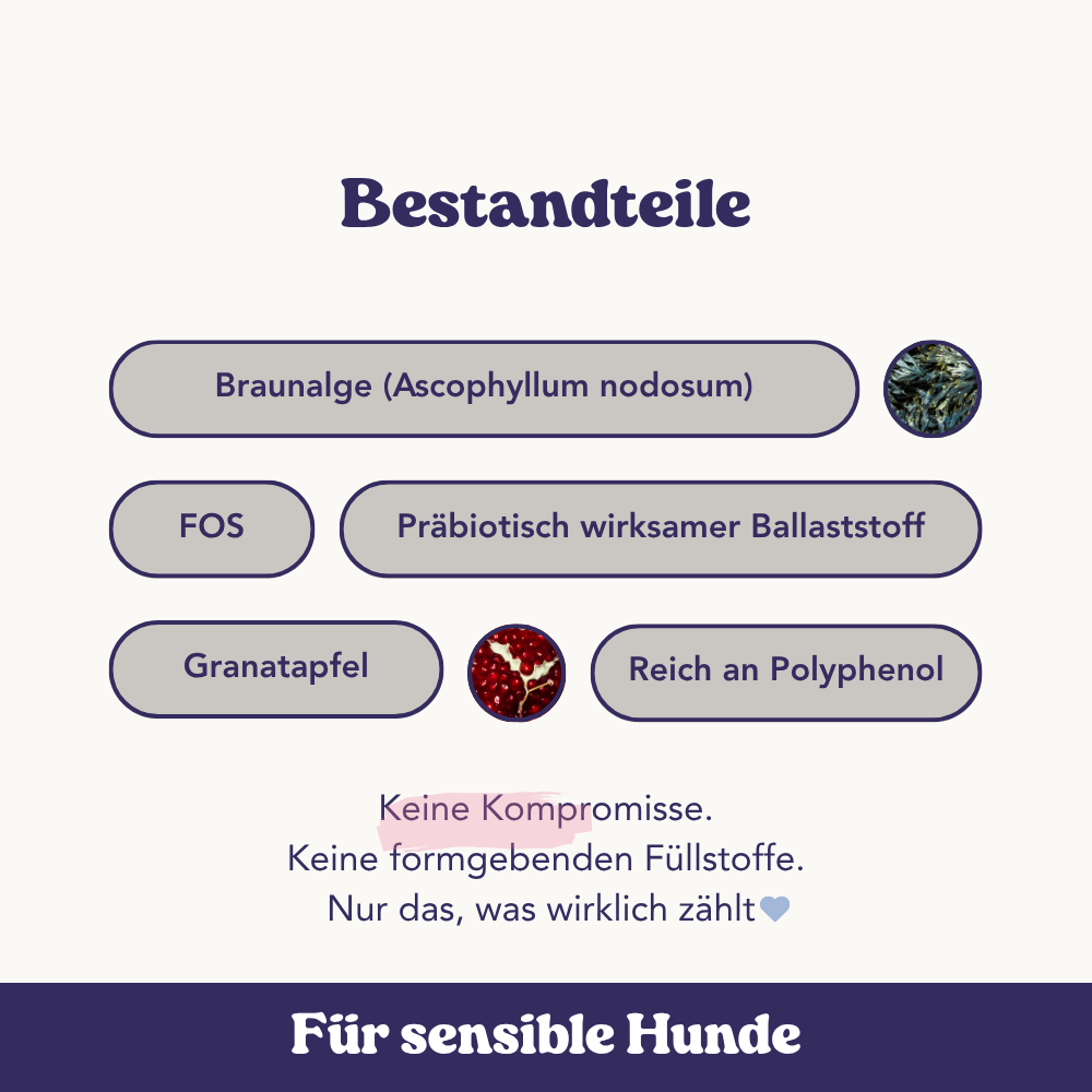 Hochwertige Rezeptur mit Alge, Granatapfel & präbiotischem Ballaststoff. Frei von Füllstoffen, Zucker oder Gluten. Ideal für sensible Hunde.