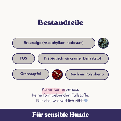 Hochwertige Rezeptur mit Alge, Granatapfel & präbiotischem Ballaststoff. Frei von Füllstoffen, Zucker oder Gluten. Ideal für sensible Hunde.